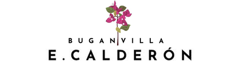 BUGANVILLA EVA CALDERON, moda ropa en Dos Hermanas